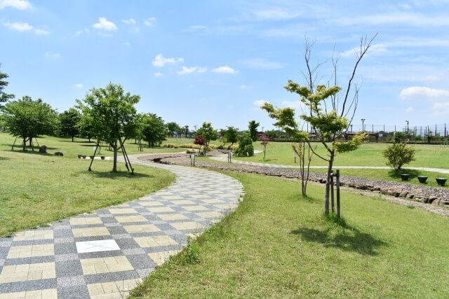 綾瀬市の綾瀬スポーツ公園の画像